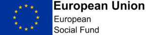 European Union Social Fund Logo Hair At The Academy
